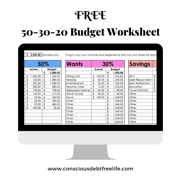 Computer monitor showing 50-20-30 budget worksheet
