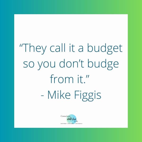 Budget Quote by Mike Figgis in Green Background
